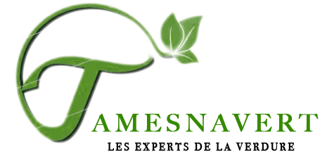clients-logo